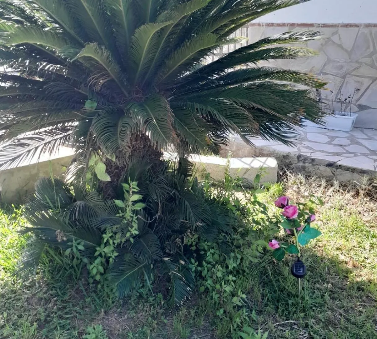 Bed and Breakfast La Rana Azul Velez Malaga 0*,
